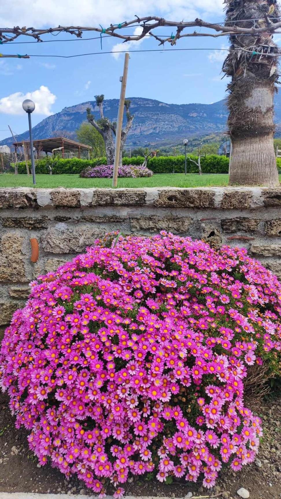 Le Colline Di Paestum Panzió Capaccio Kültér fotó